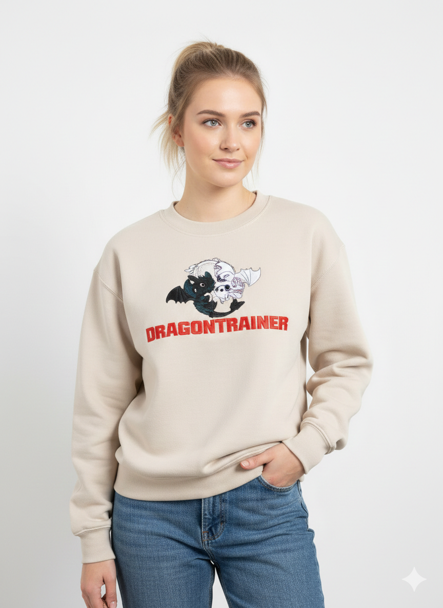 felpa dragon trainer